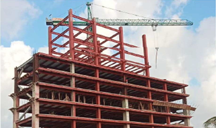 Proyecto Palm 2